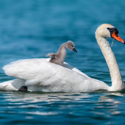 Aaron Haußmann - Platz 4