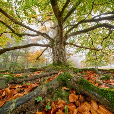 Axel Kottal - Platz 3