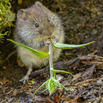 Hans-Peter Sauter - Platz 9