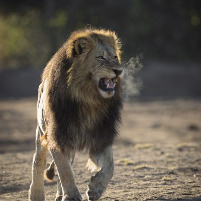 Ralf Meichsner - Platz 10