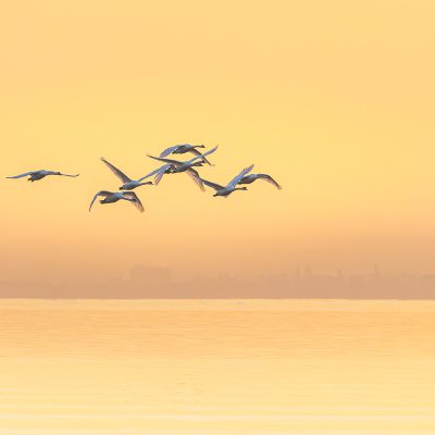 Wiebke Breil - Platz 7